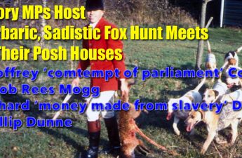 4 Tory MPs host fox hunts