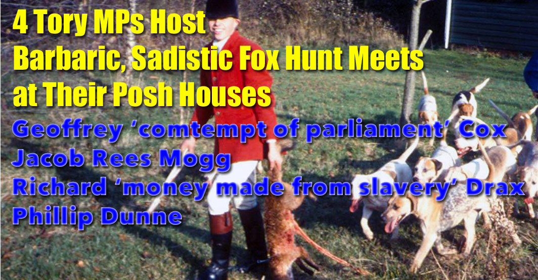 4 Tory MPs host fox hunts