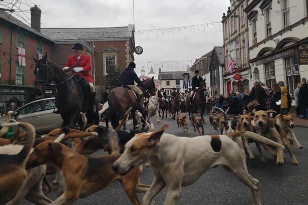 Torrington Farmers Hunt branch of the Pony Club - Boxing Day 2018