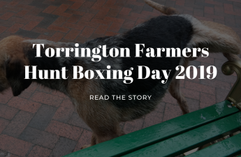 torrington farmers hunt boxing day 2019