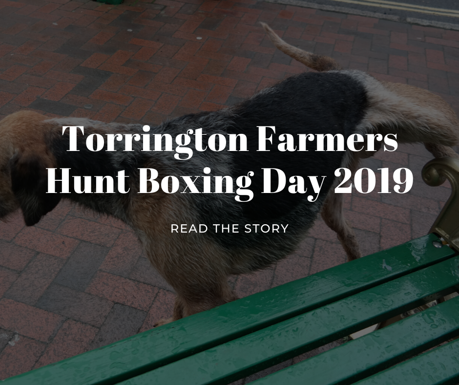 torrington farmers hunt boxing day 2019