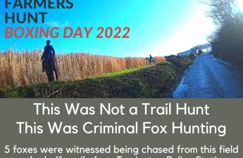 The Torrington Farmers Hunt hunts foxes on Boxing Day 2022